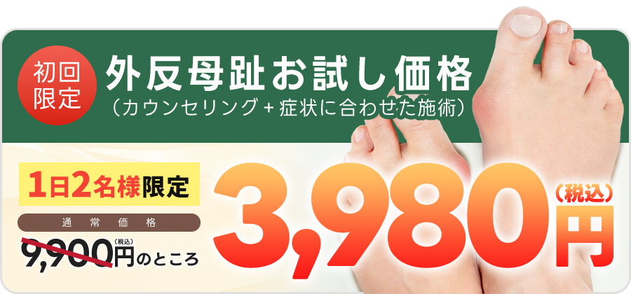 お試し価格：3,980円